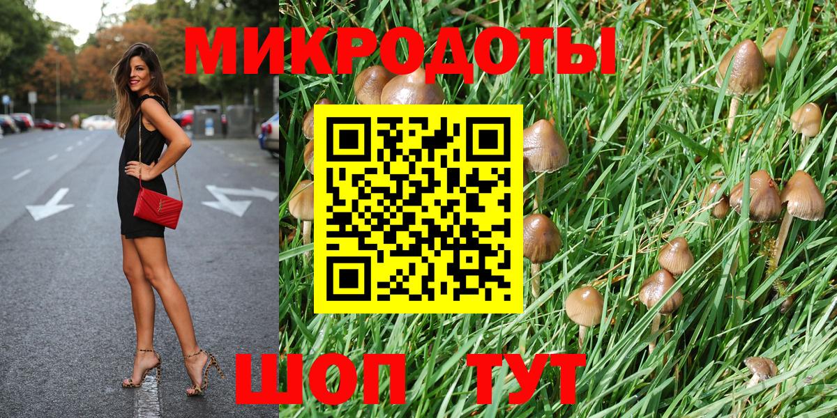 Псилоцибиновые грибы прущие грибы Юрга