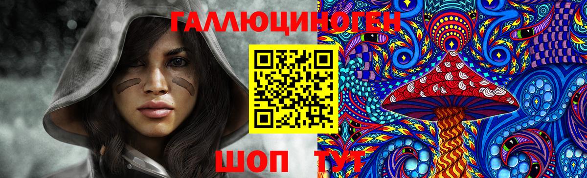 Юрга  Галлюциногенные грибы Magic Shrooms  Псилоцибиновые грибы Psilocybine cubensis  Вход с VPN 